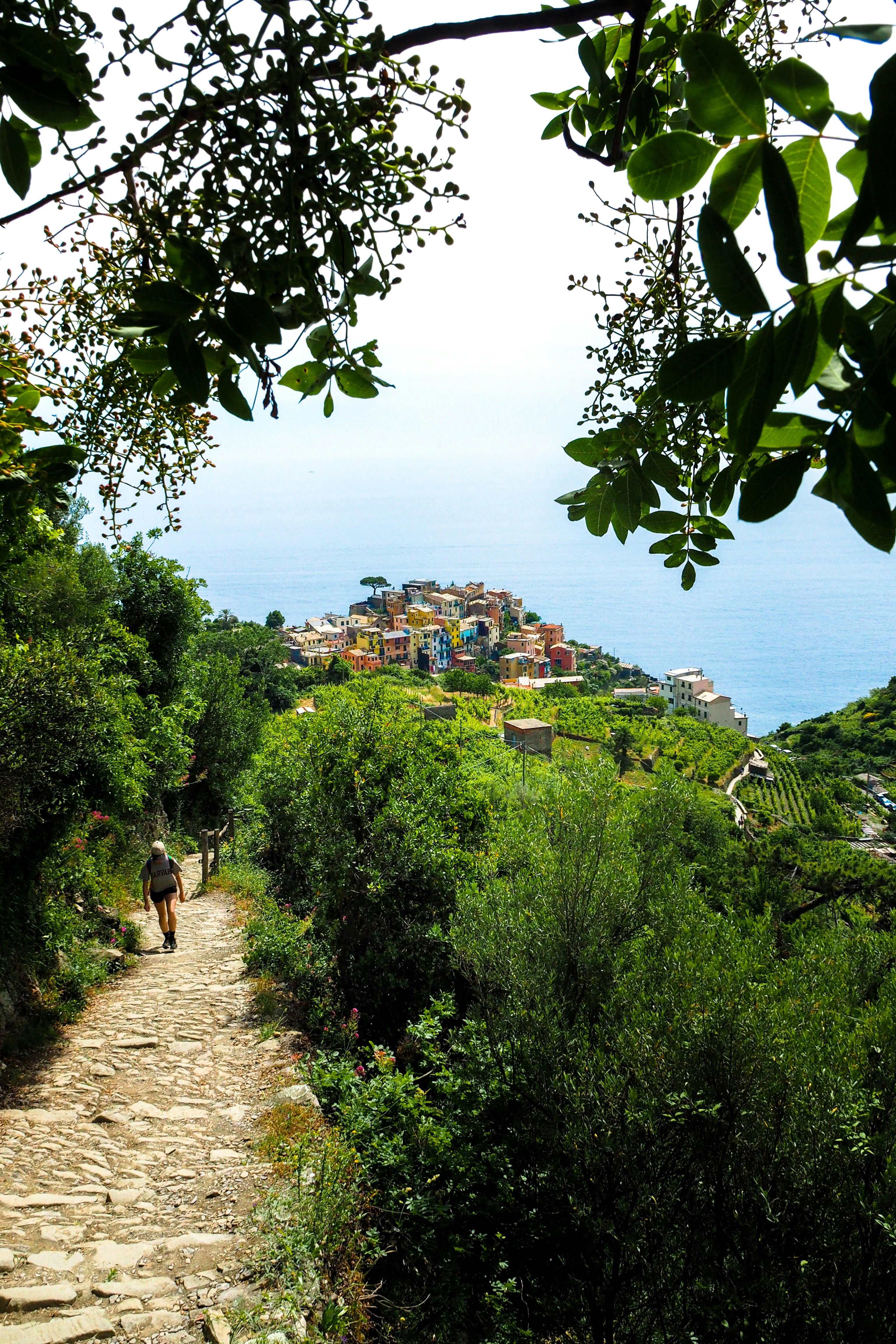 Hiking the Path of the Gods