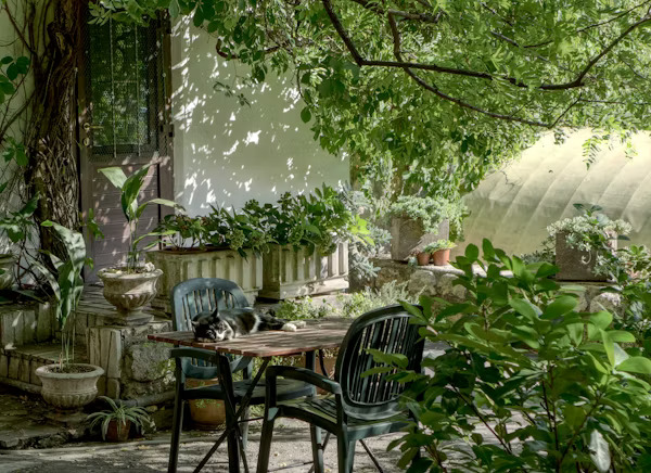 Ravello gardens